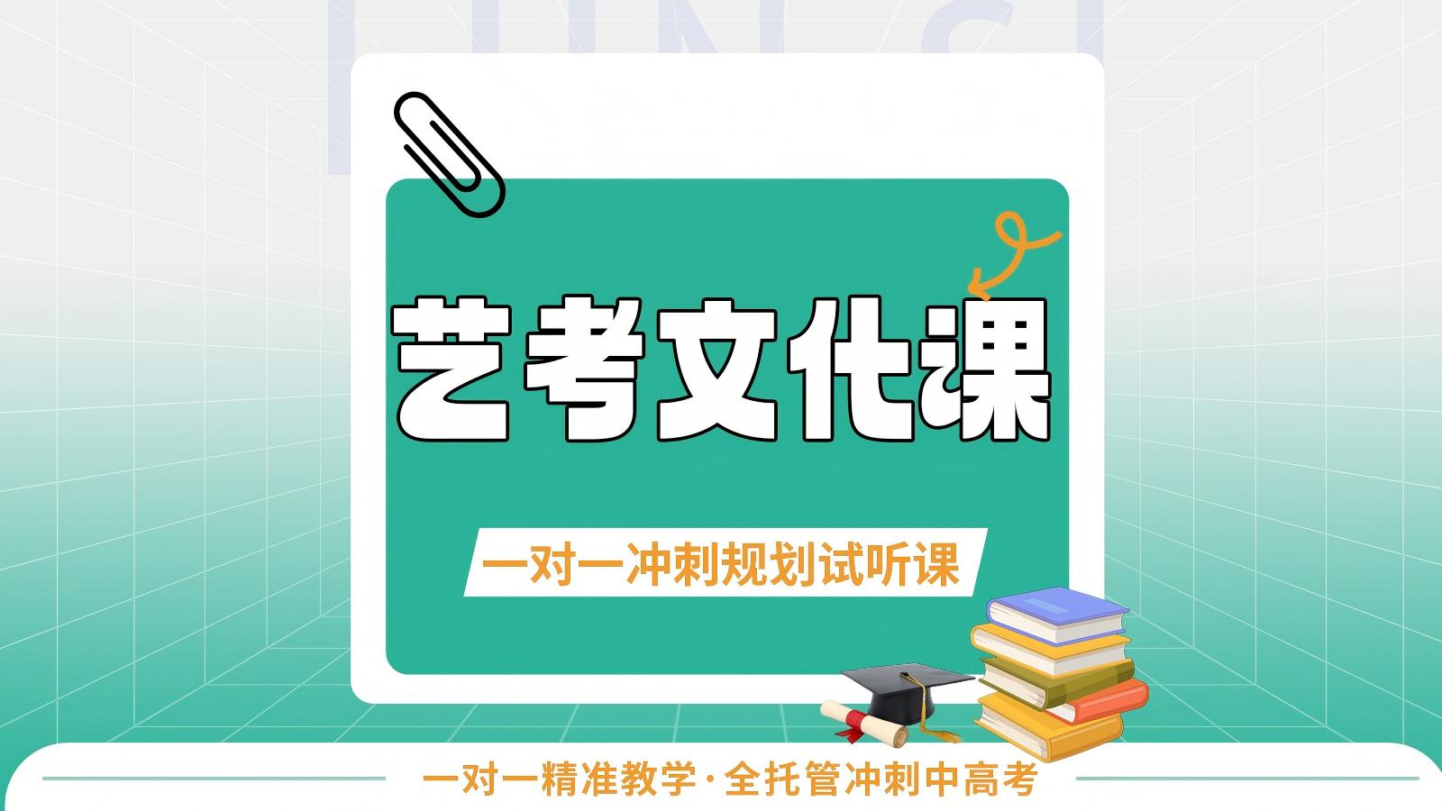  论思教育艺考文化课一对一辅导 